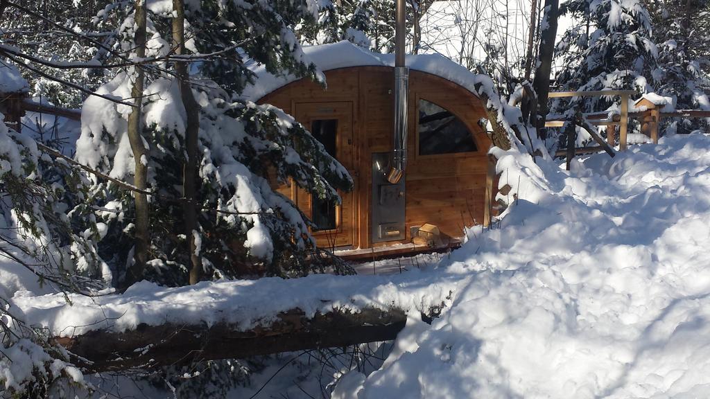 Willa Gusia, Apartamenty Zakopane Exterior photo