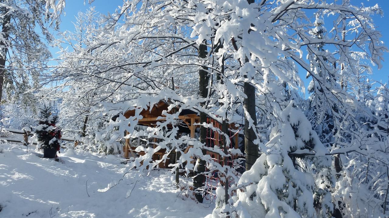 Willa Gusia, Apartamenty Zakopane Exterior photo